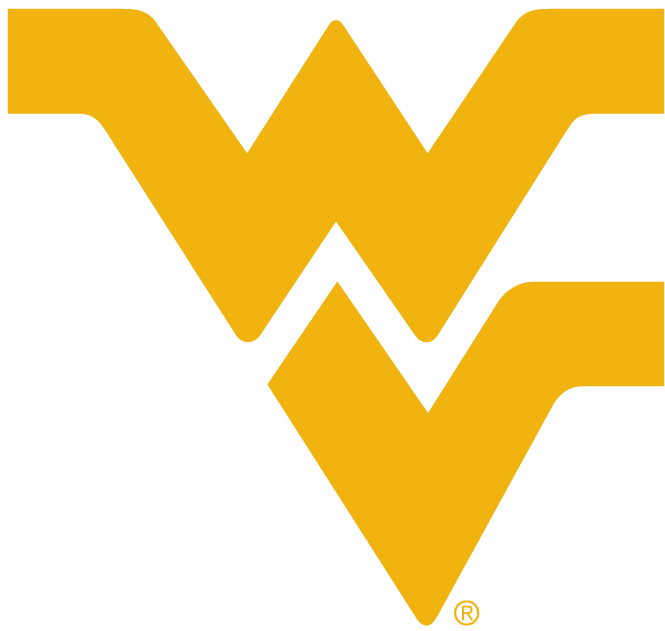 West Virginia Mountaineers 1980-Pres Alternate Logo t shirts DIY iron ons v4